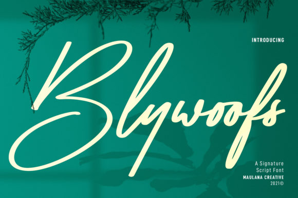 Blywoofs Typeface: A Designer’s Review